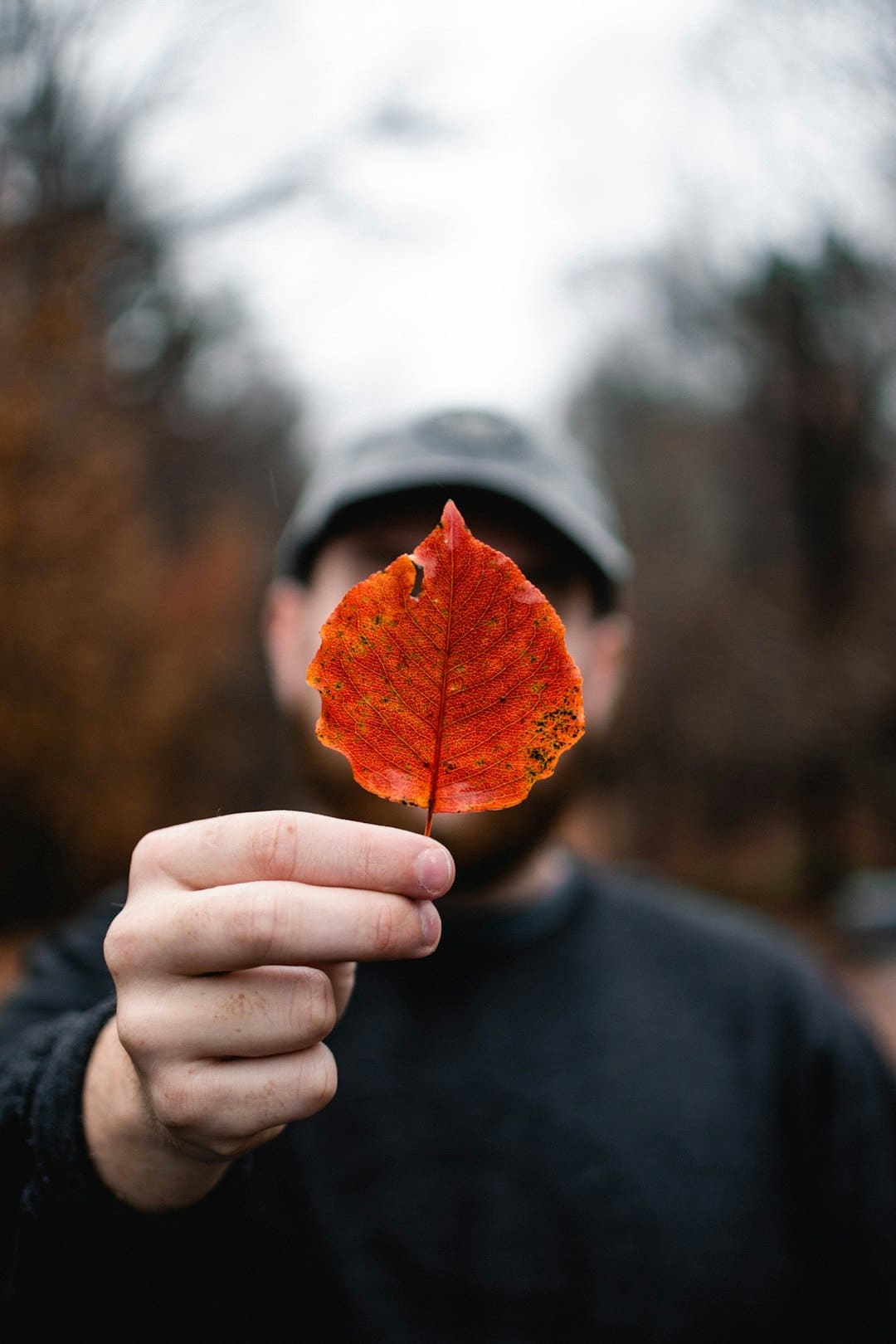Youth Q&A: How do you feel more connected to your friends?